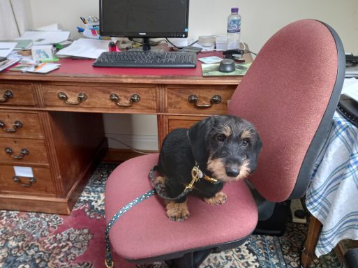Betty on an office chair
