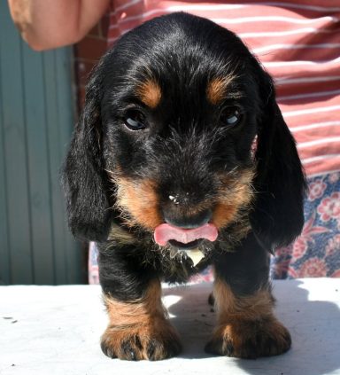 Betty licking her lips