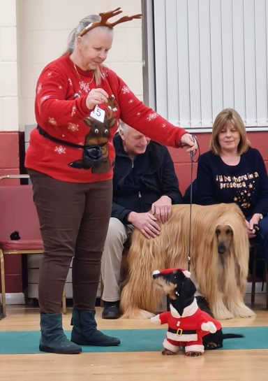 Betty in Christmas outfit