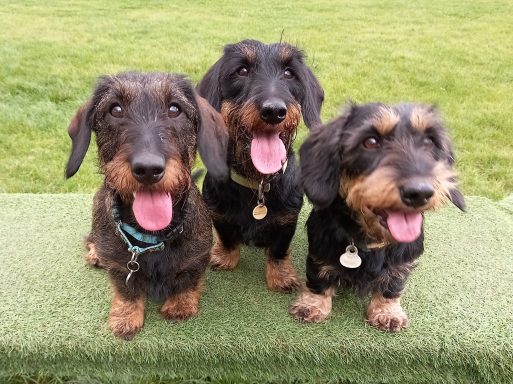 Betty and her friends Gretel and Capt