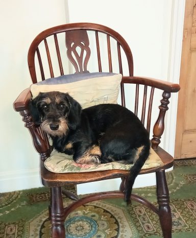 Betty in a chair